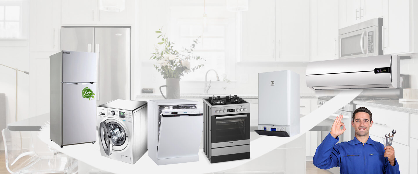 Keşap Electrolux Servisi
